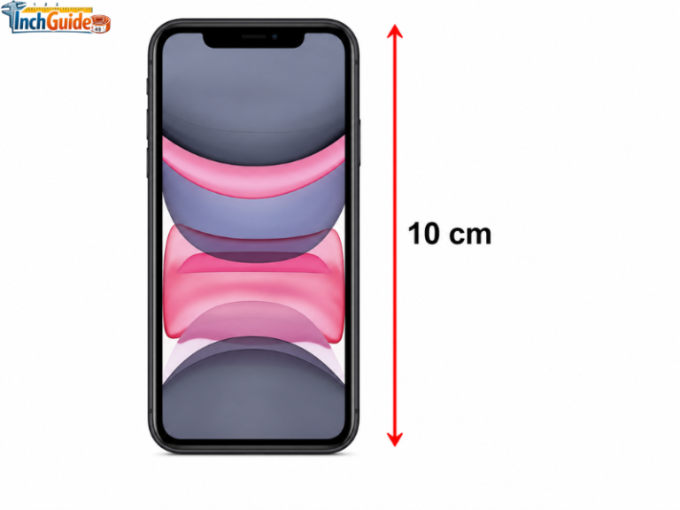 How Big Is 10 CM? 13 Real-Life Objects That Are About 10 CM