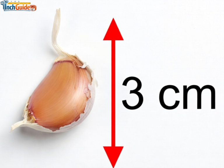 How Big Is 3 CM? Real-Life Size Guide With 13 Common Objects