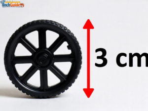 How Big Is 3 CM? Real-Life Size Guide With 13 Common Objects