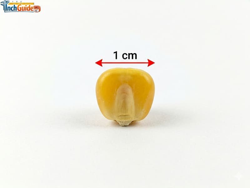 how big is 1 cm