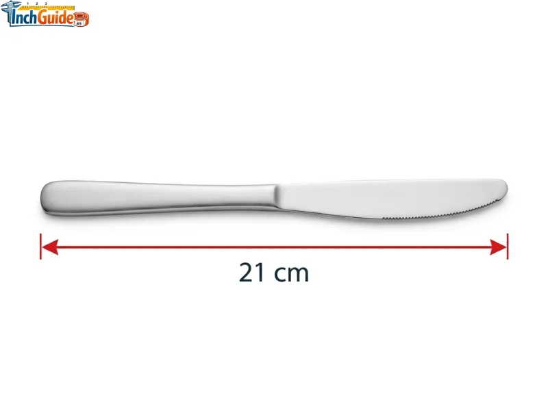 how big is 21 cm