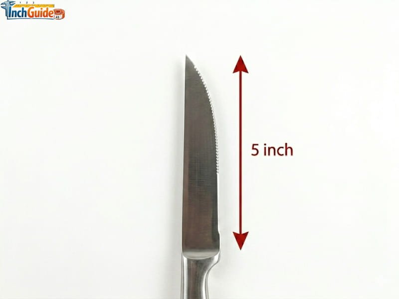 how long is 5 inches
