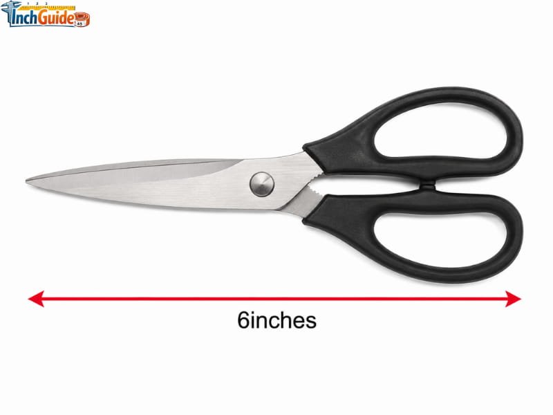 how long is 6 inches