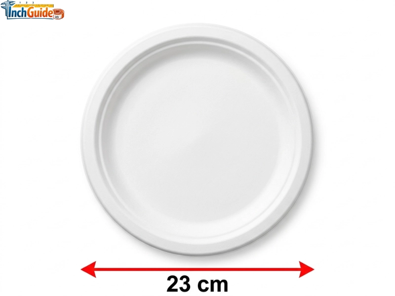 how big is 23 cm  Standard 9-Inch Paper Plate Diameter